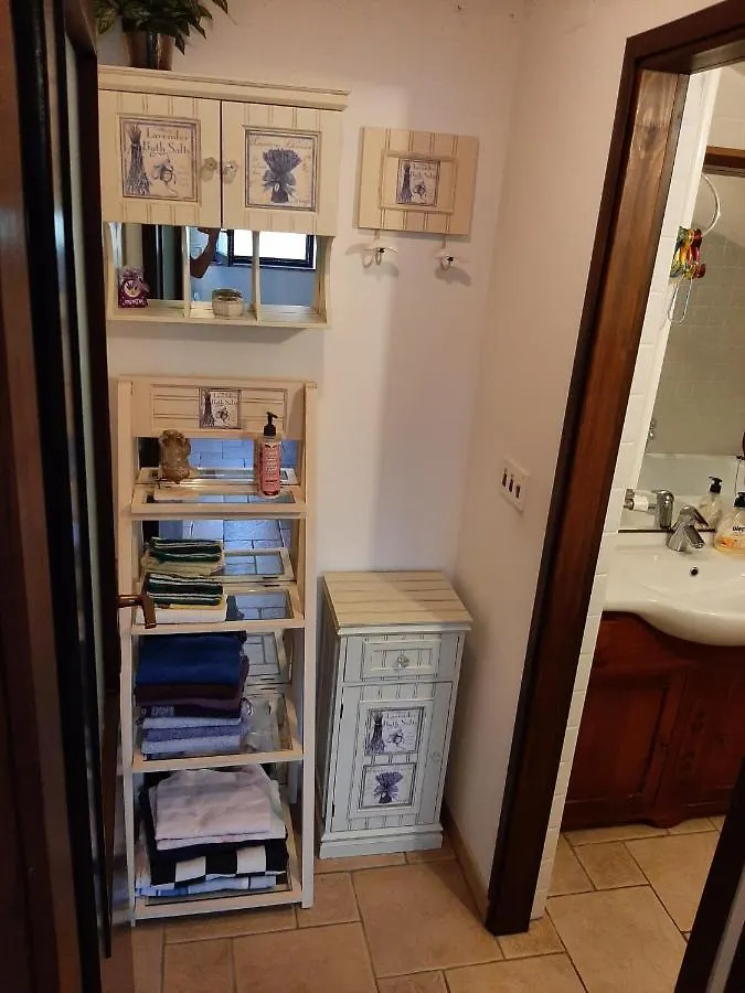 Nice, Cosy Studio Apartment With Shared Outdoor Pool Banjole Croatia