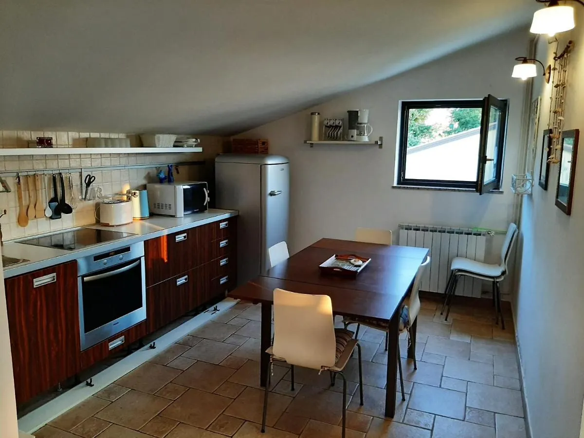 Nice, Cosy Studio Apartment With Shared Outdoor Pool Banjole 0*,  Croatia